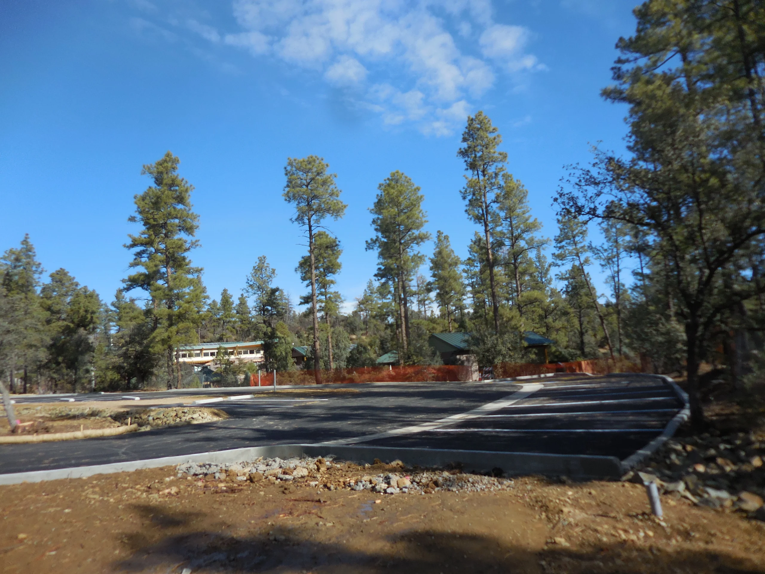 Self-serve tap wall at City Tavern with digital beer menus and wooden-handled taps