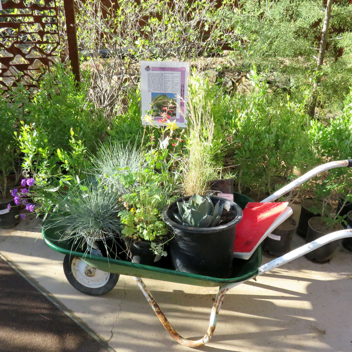 Self-serve tap wall at City Tavern with digital beer menus and wooden-handled taps