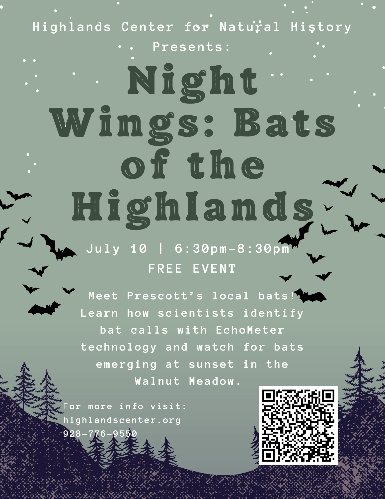 Night Wings Bats of the Highlands