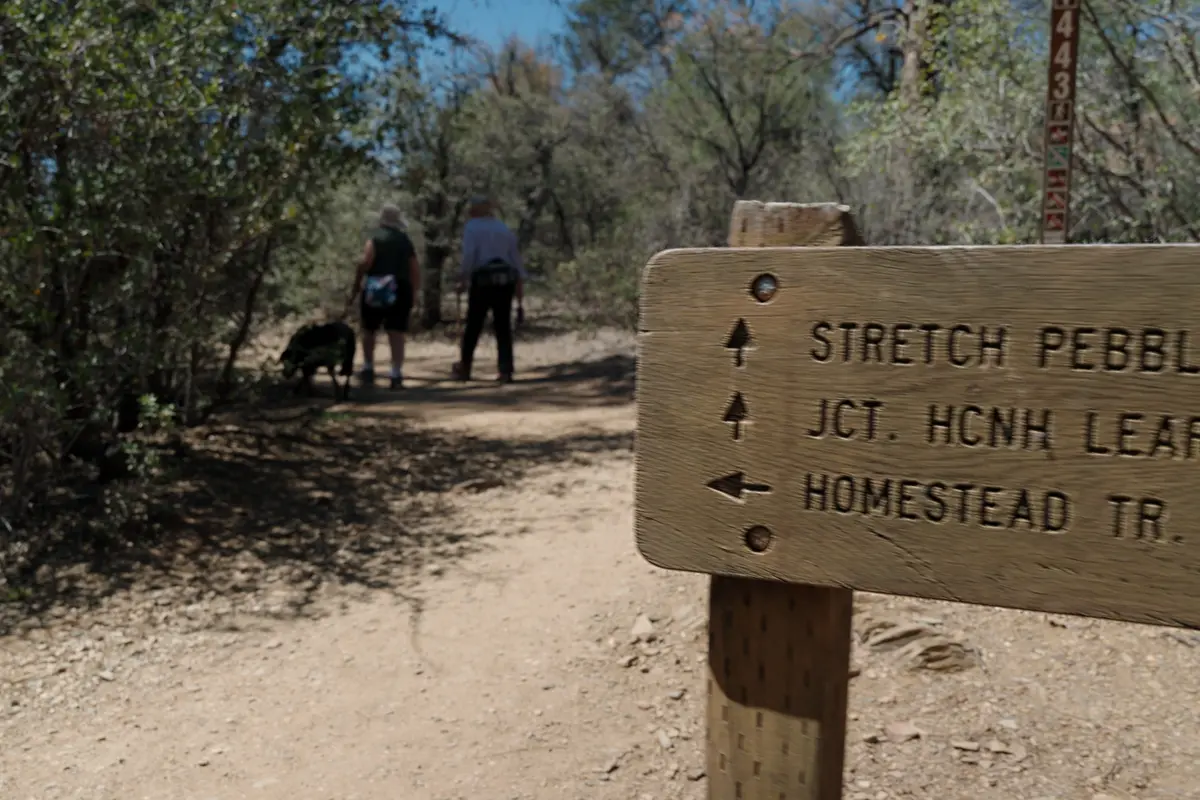 Hiking trails in Prescott AZ: wooden trail sign points hikers and dog down forest path