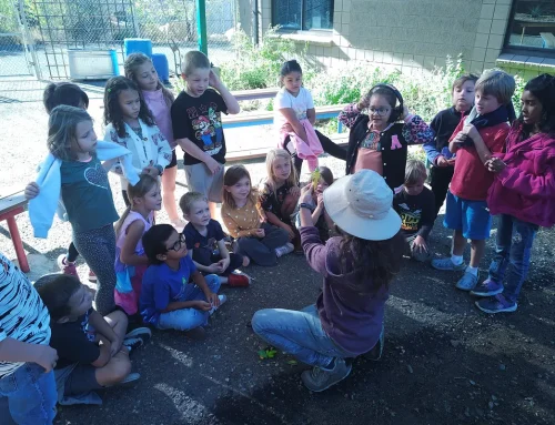Nature Camps in Prescott, AZ: What Families Should Know Before Signing Up
