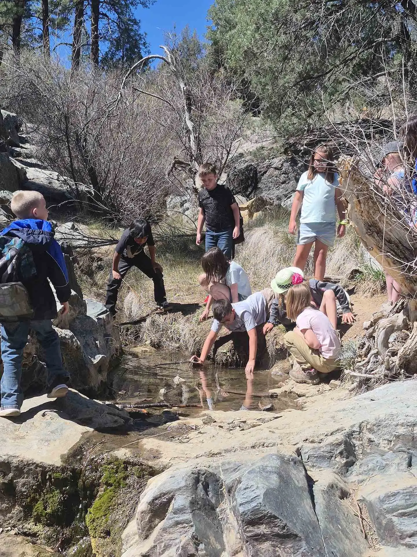 Children explore nature with Highlands Center educators during outdoor learning program in Prescott Arizona